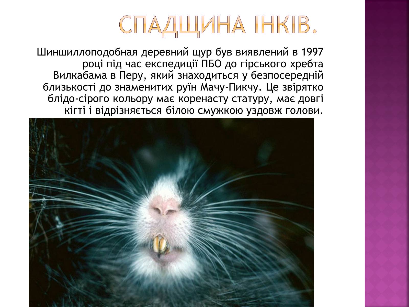Презентація на тему «Рідкісні та зникаючі види рослин і тварин» - Слайд #17