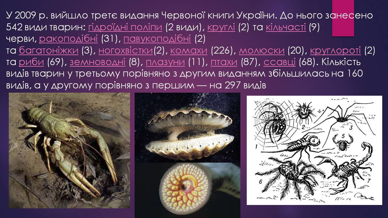 Презентація на тему «Червона книга України» (варіант 16) - Слайд #6