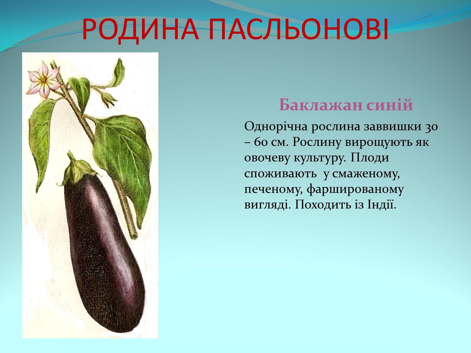 Презентація на тему «Різноманітність покритонасінних рослин» - Слайд #52