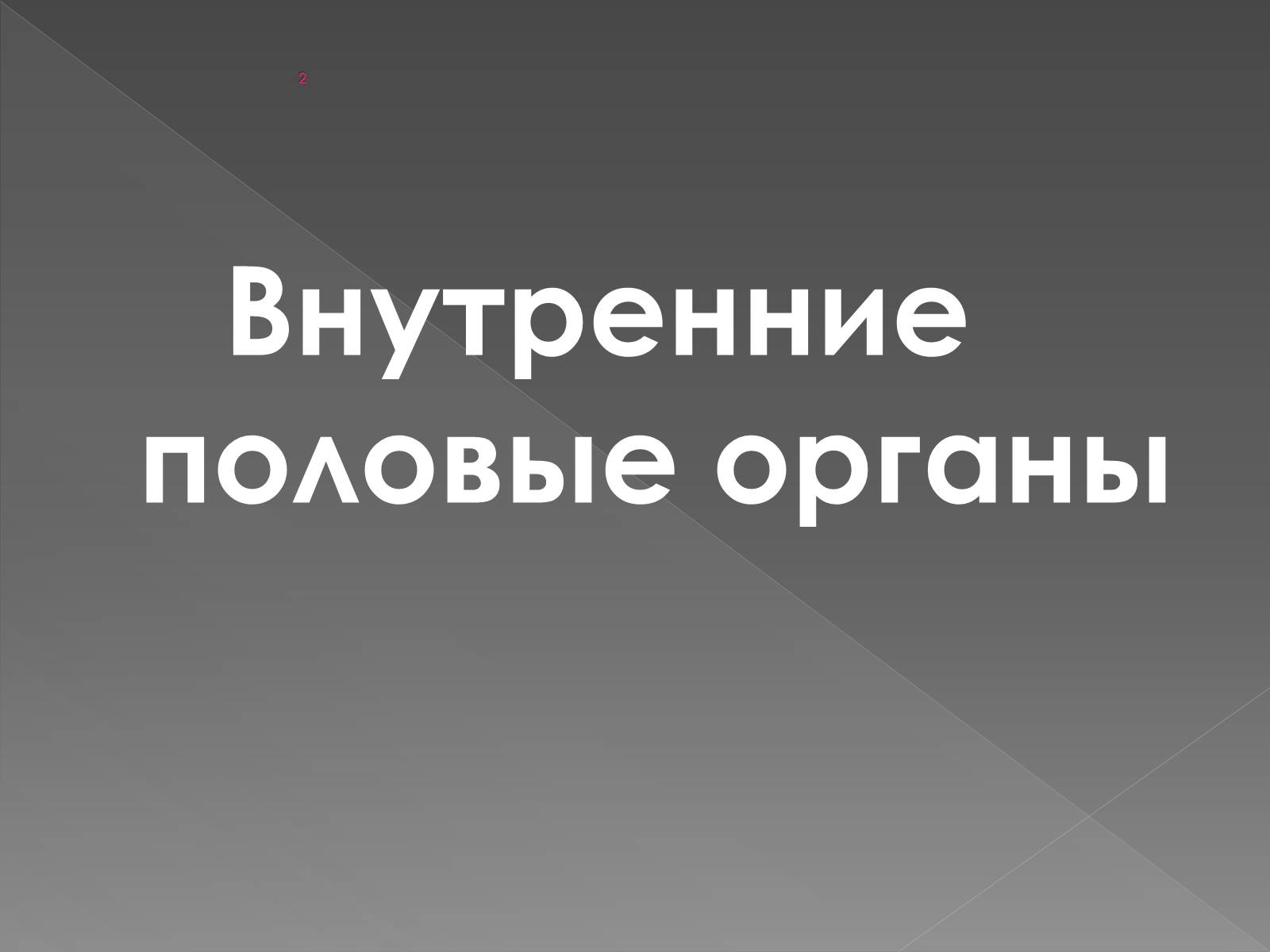 Презентація на тему «Женская половая система» - Слайд #4