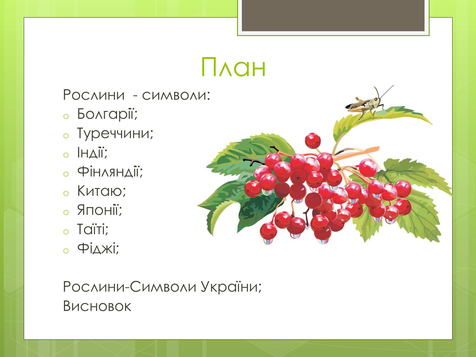 Презентація на тему «Рослини символи країн світу» - Слайд #2