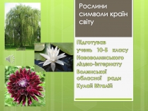 Презентація на тему «Рослини символи країн світу»