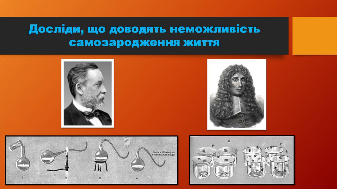 Презентація на тему «Історичний розвитокорганічного світу» - Слайд #11