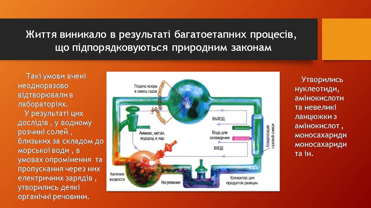 Презентація на тему «Історичний розвитокорганічного світу» - Слайд #14