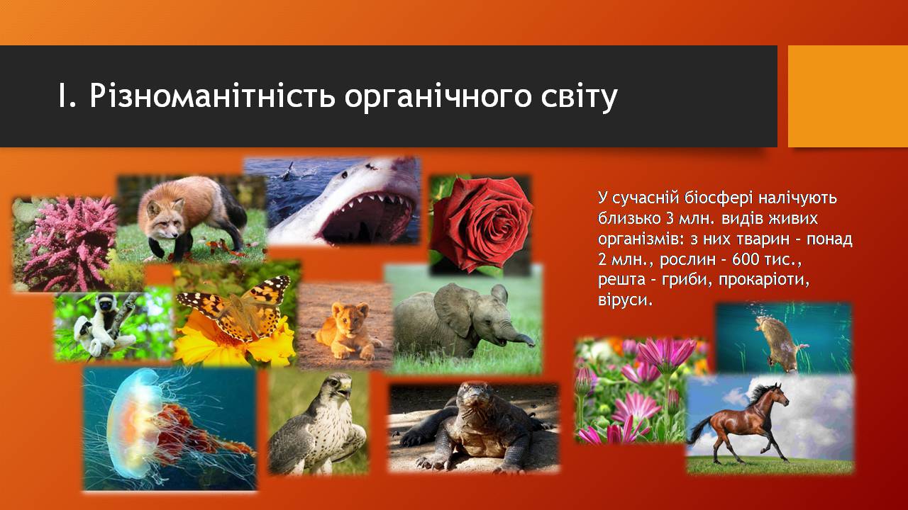 Презентація на тему «Історичний розвитокорганічного світу» - Слайд #6