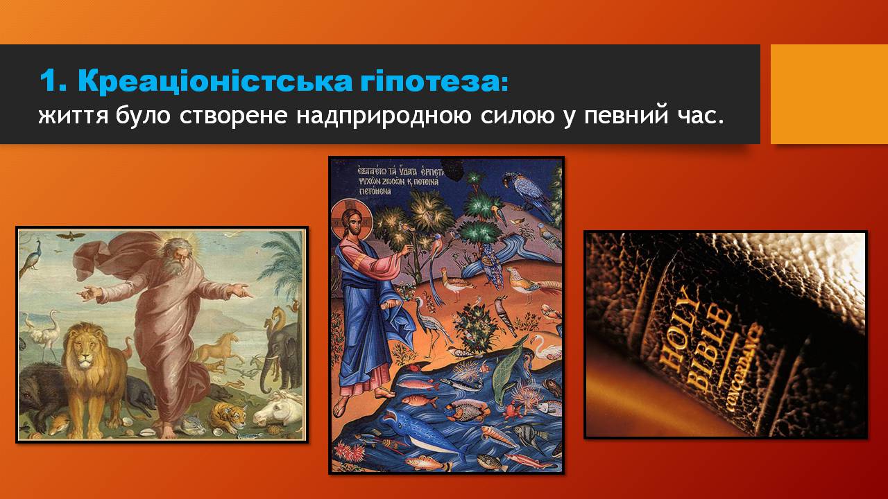 Презентація на тему «Історичний розвитокорганічного світу» - Слайд #8