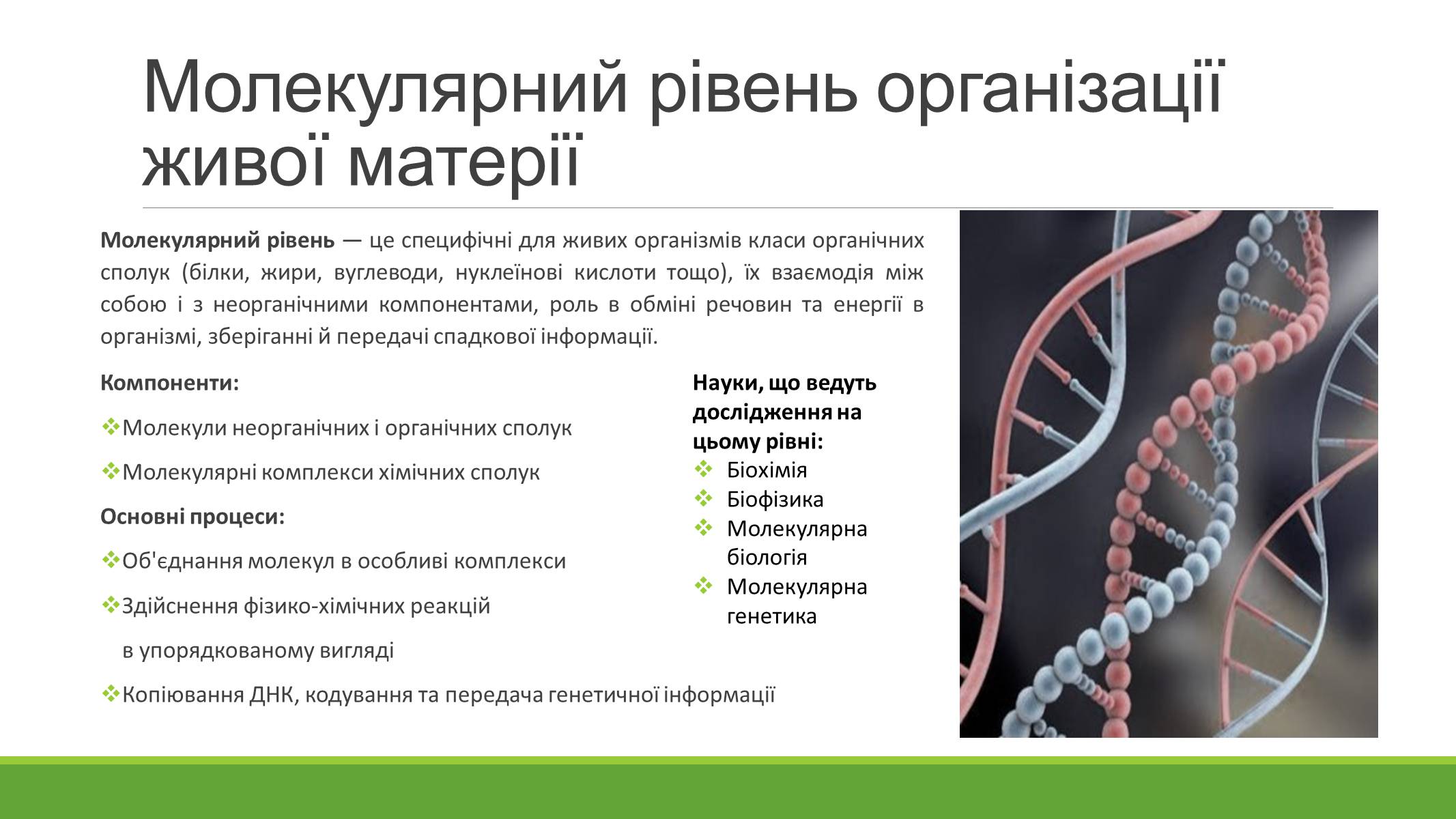 Презентація на тему «РІВНІ ОРГАНІЗАЦІЇ ЖИВОЇ МАТЕРІЇ» (варіант 2) - Слайд #4