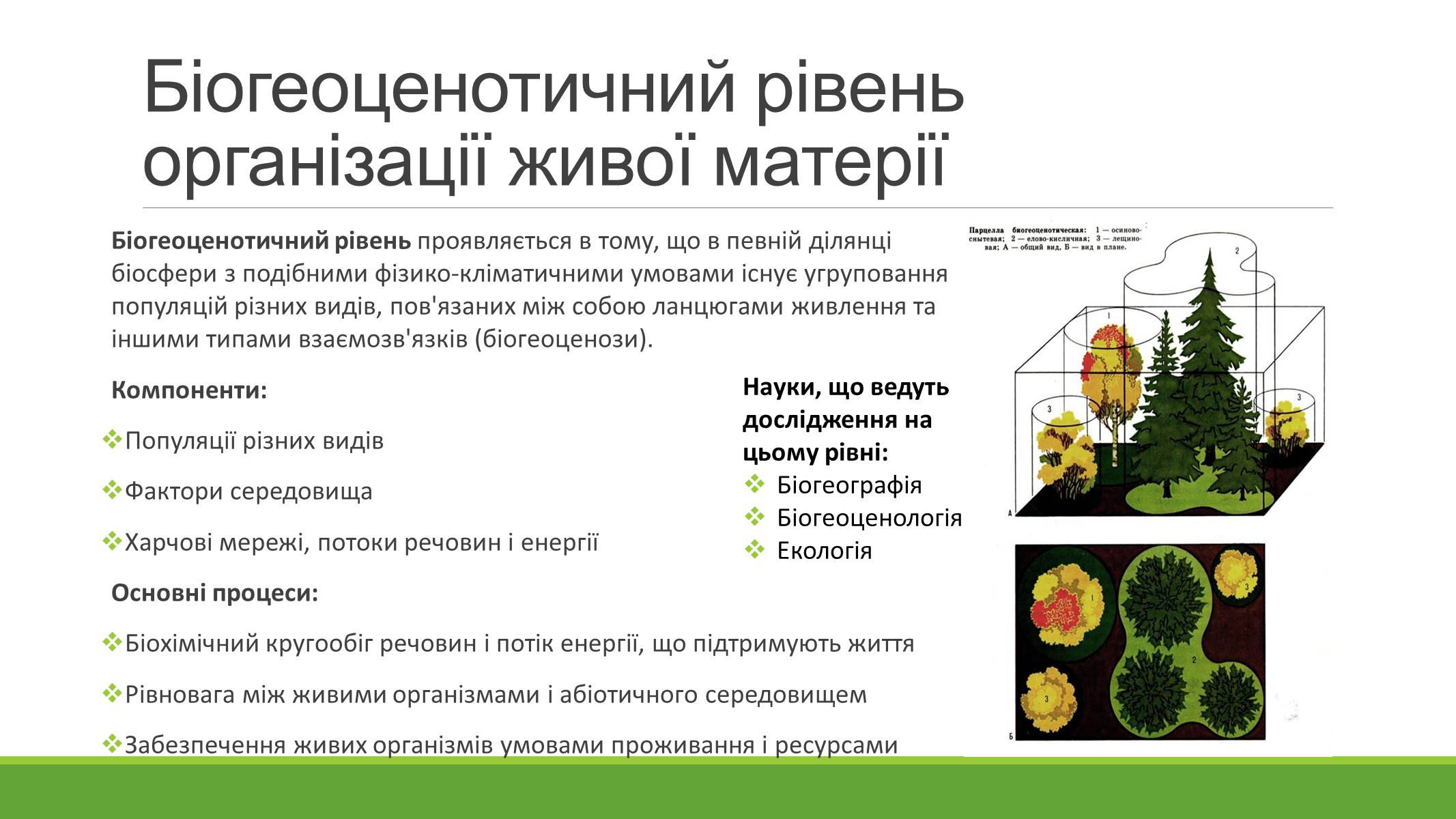 Презентація на тему «РІВНІ ОРГАНІЗАЦІЇ ЖИВОЇ МАТЕРІЇ» (варіант 2) - Слайд #8