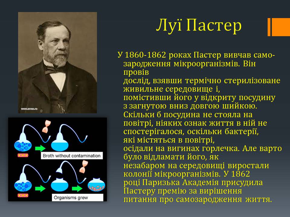 Презентація на тему «Гіпотези виникнення життя на землі» (варіант 3) - Слайд #10