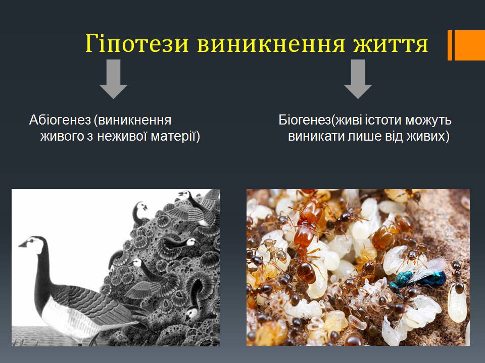 Презентація на тему «Гіпотези виникнення життя на землі» (варіант 3) - Слайд #4