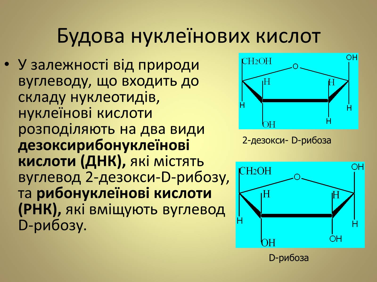 Презентація на тему «Нуклеїнові кислоти» (варіант 5) - Слайд #5