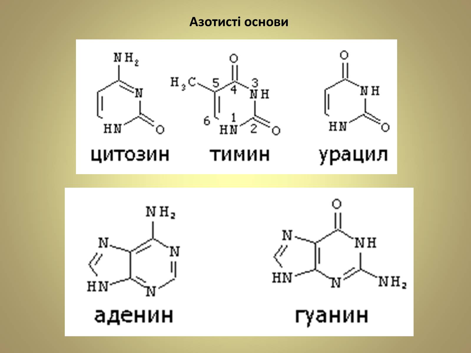 Презентація на тему «Нуклеїнові кислоти» (варіант 5) - Слайд #6