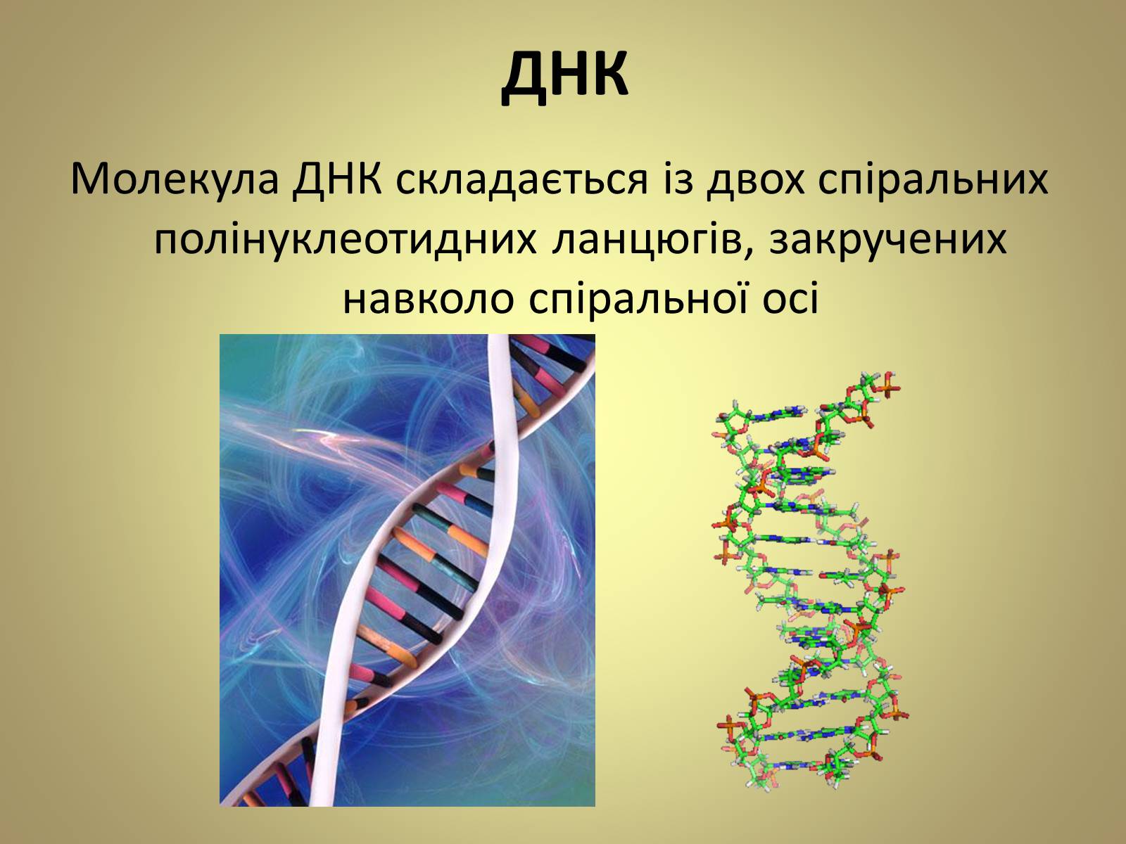 Презентація на тему «Нуклеїнові кислоти» (варіант 5) - Слайд #9