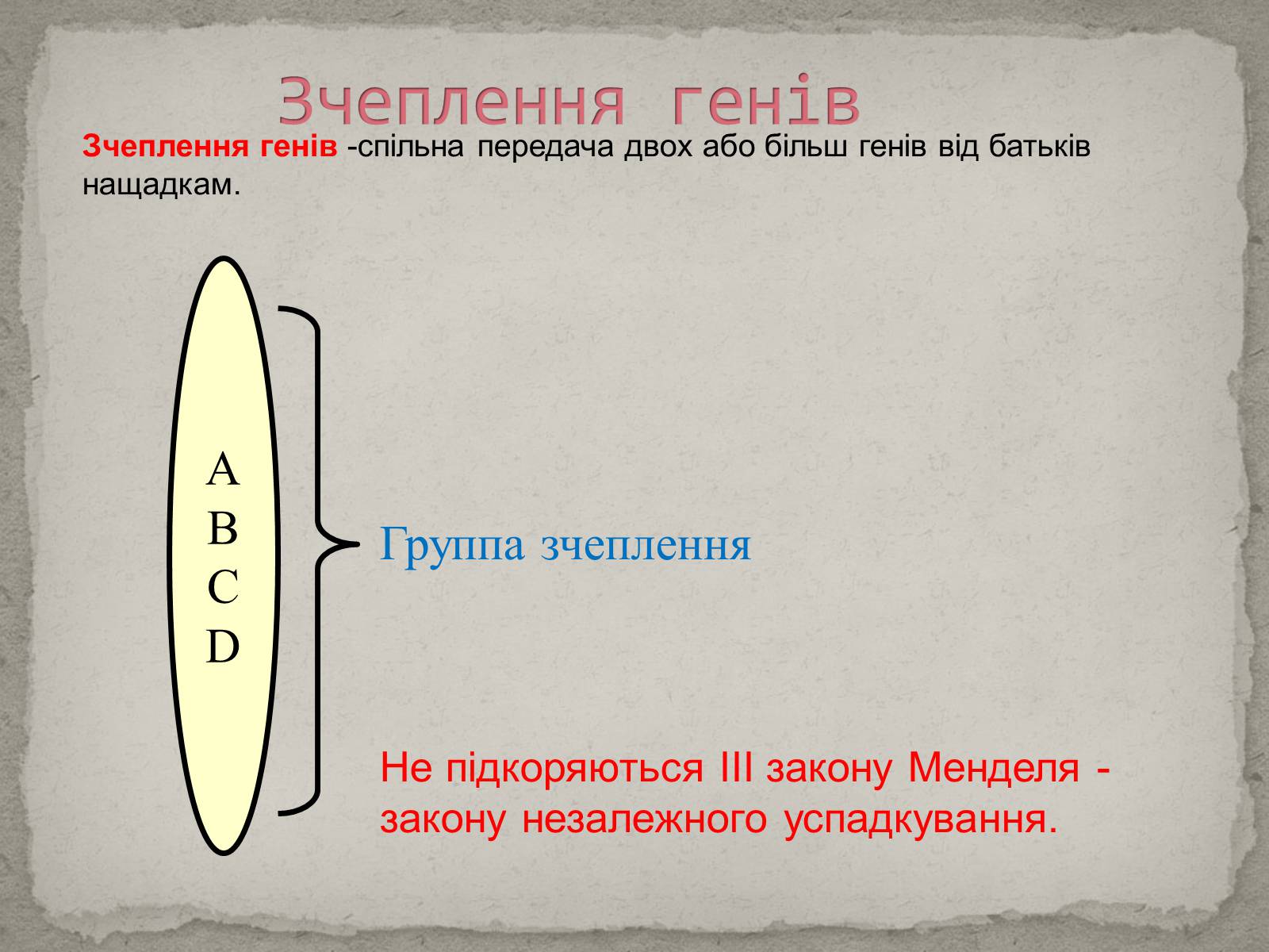 Презентація на тему «Хромосомна теорія спадковості» (варіант 1) - Слайд #11