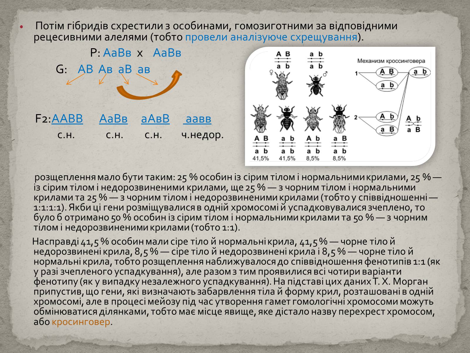 Презентація на тему «Хромосомна теорія спадковості» (варіант 1) - Слайд #6