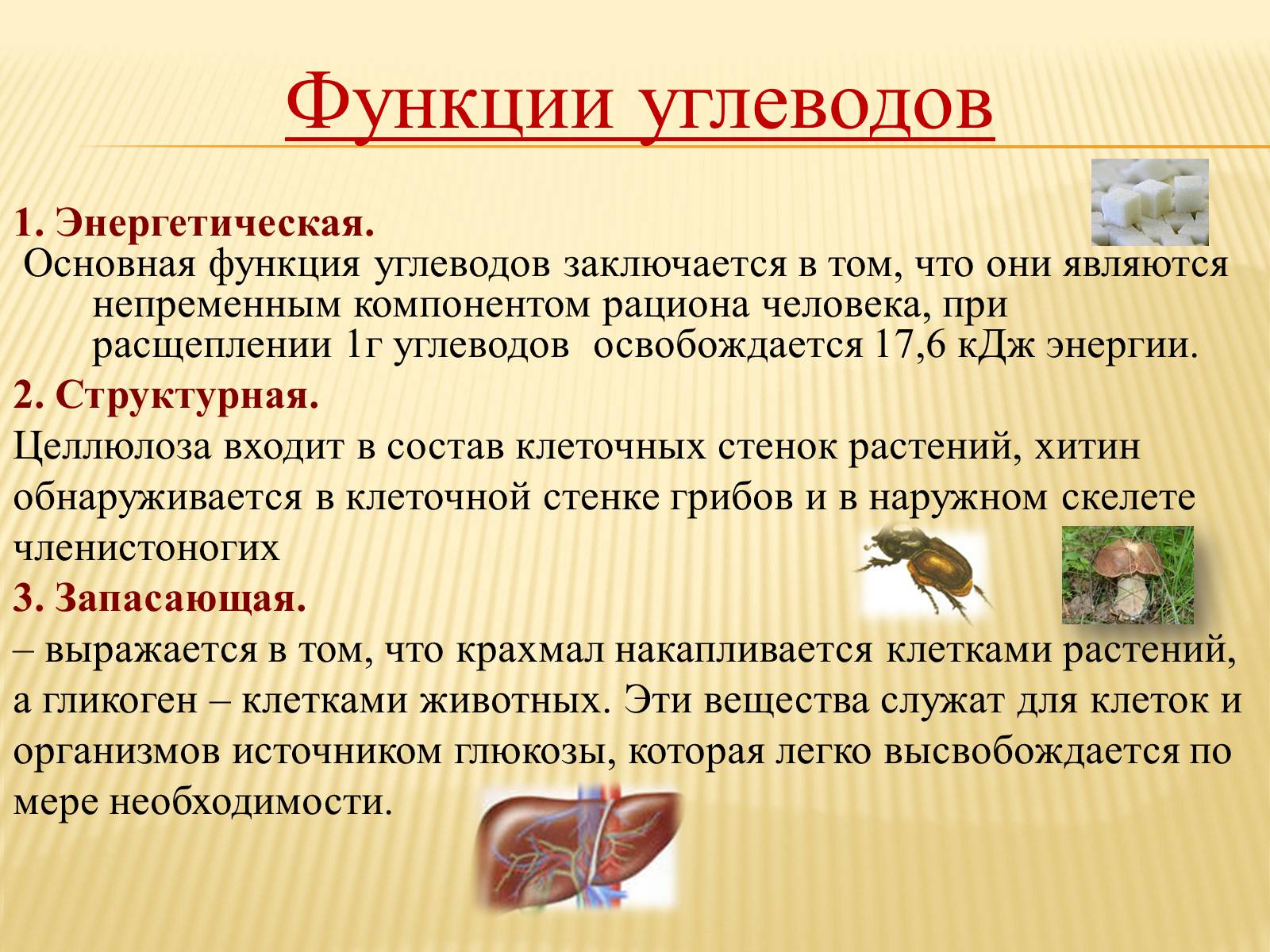 Презентація на тему «Органические вещества. Углеводы. Белки» - Слайд #14