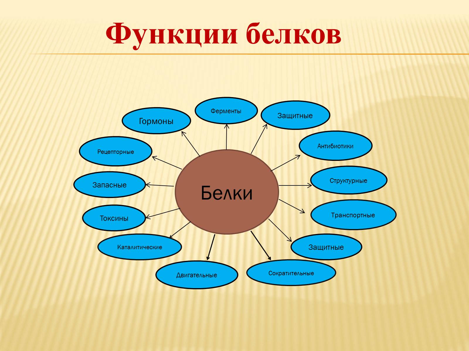 Презентація на тему «Органические вещества. Углеводы. Белки» - Слайд #25