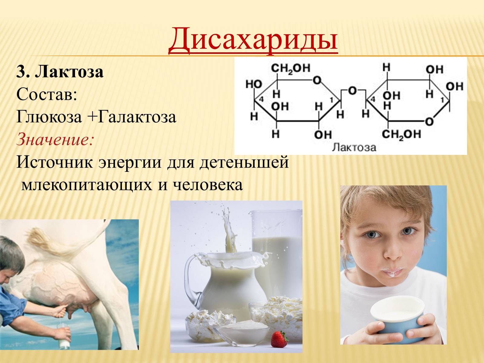 Презентація на тему «Органические вещества. Углеводы. Белки» - Слайд #9