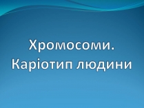 Презентація на тему «Хромосоми» (варіант 2)