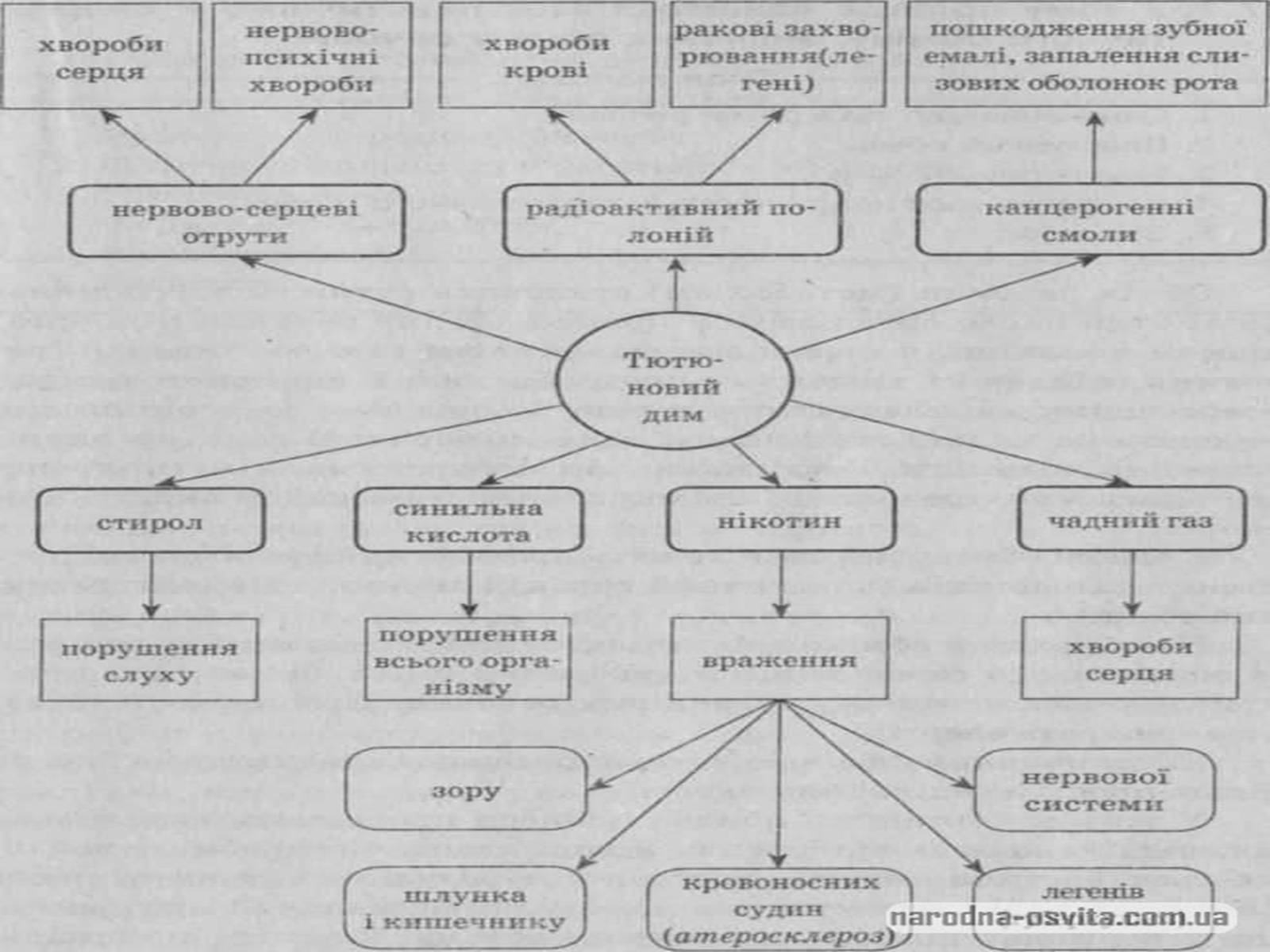 Презентація на тему «Вплив паління на організм людини» - Слайд #4