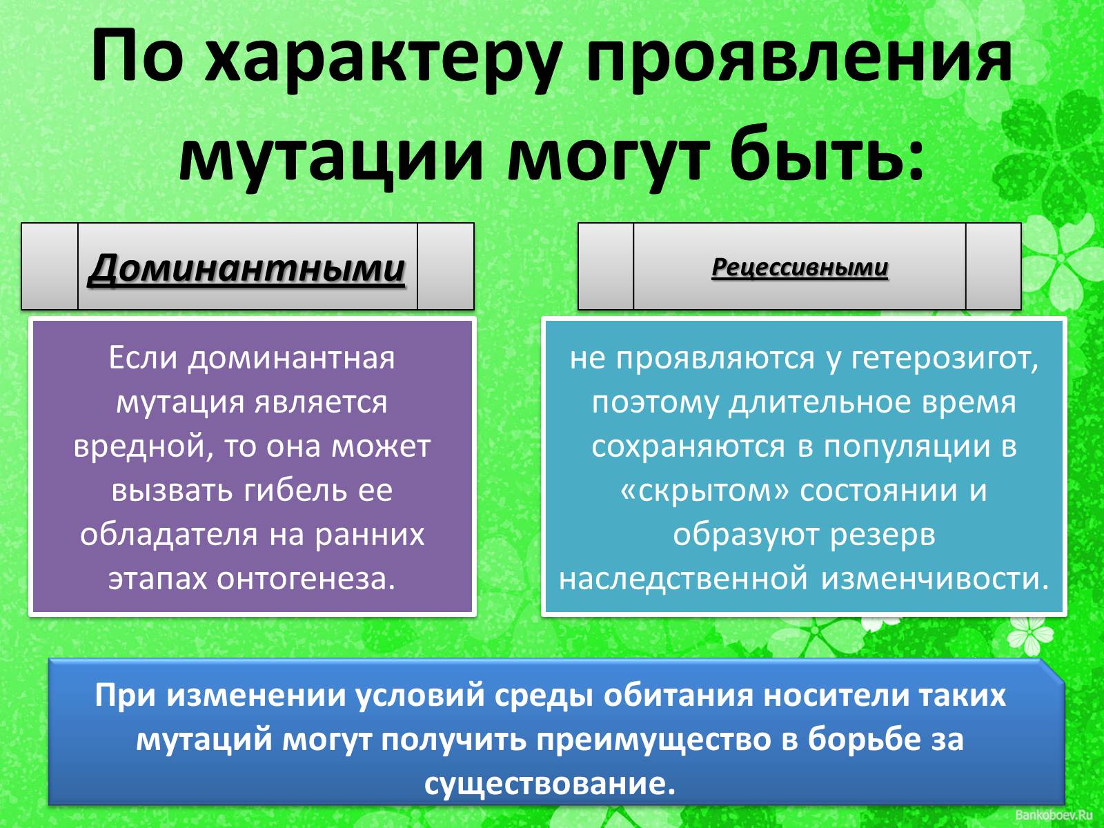 Презентація на тему «Мутационная изменчивость» - Слайд #9