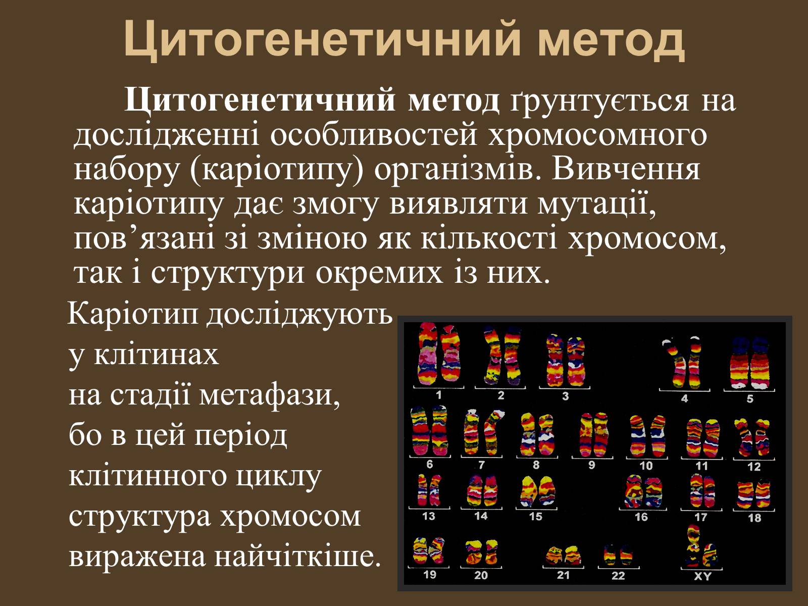 Презентація на тему «Методи генетичних досліджень» (варіант 1) - Слайд #10