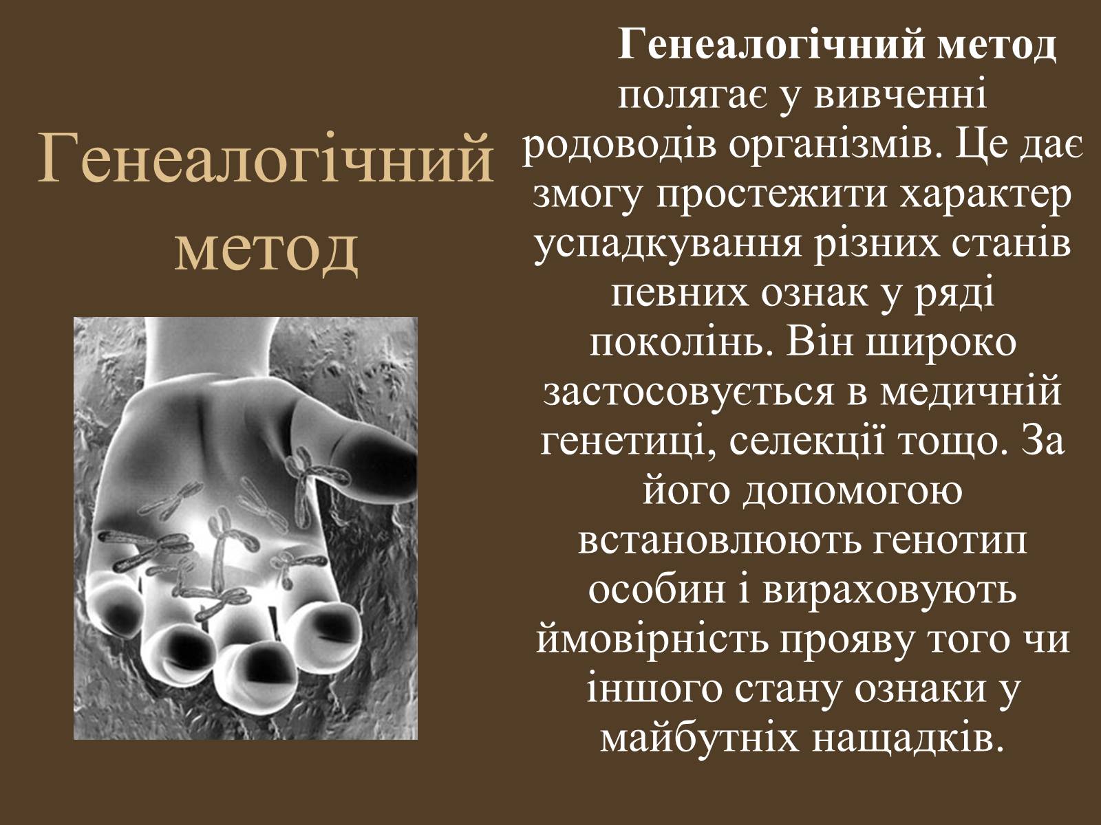 Презентація на тему «Методи генетичних досліджень» (варіант 1) - Слайд #8