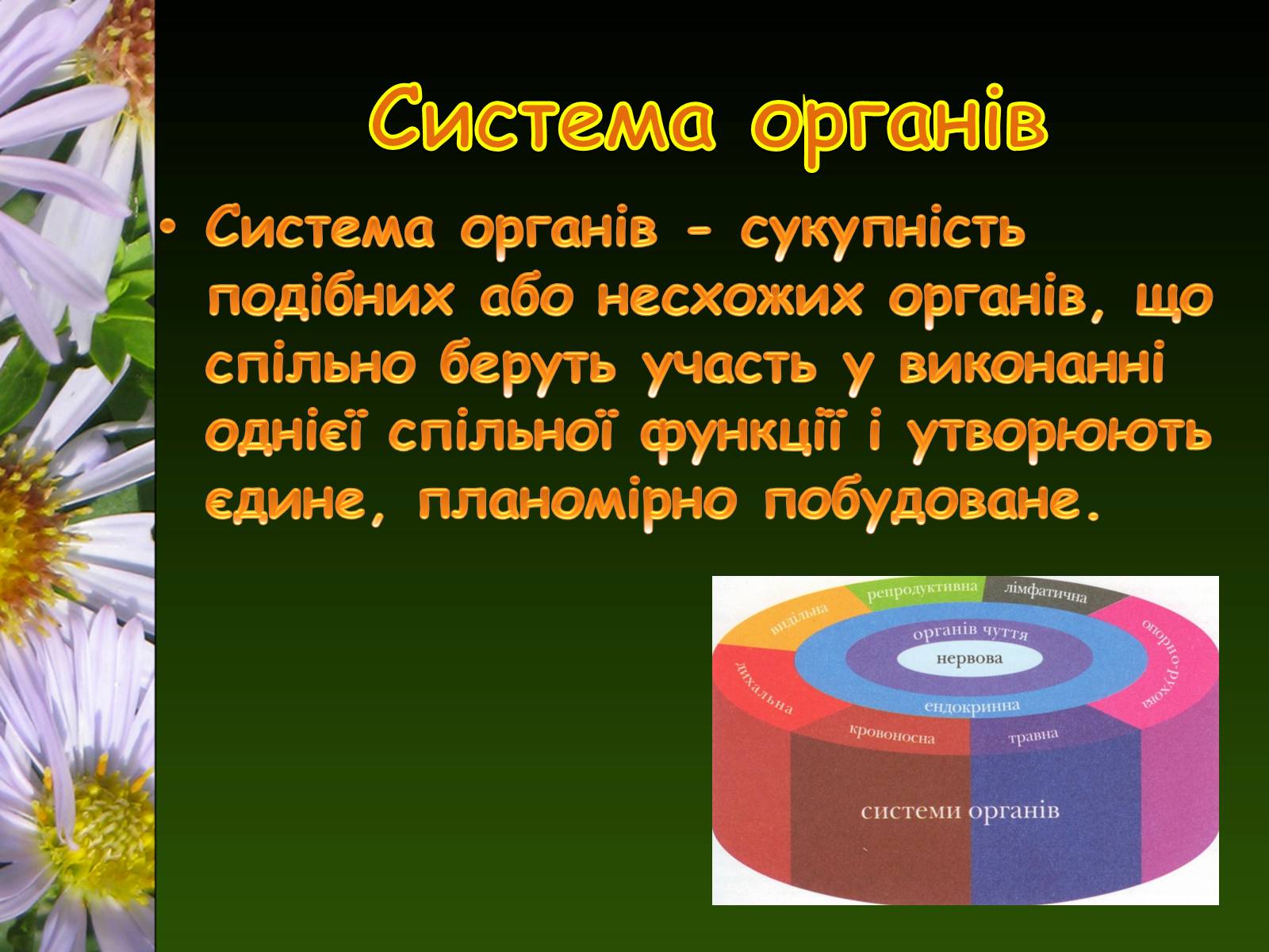 Презентація на тему «Органи і система органів тварин» - Слайд #2