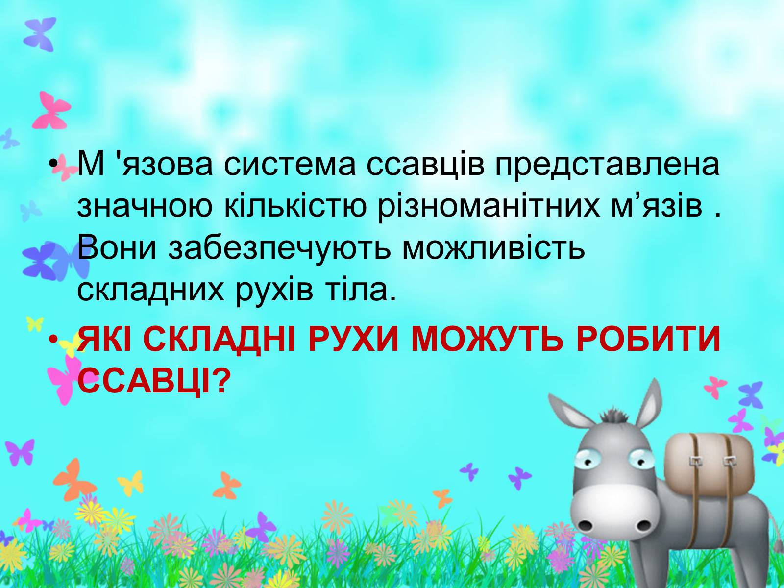 Презентація на тему «Загальна характеристика класу Ссавці. Зовнішня будова, скелет і мускулатура» - Слайд #20