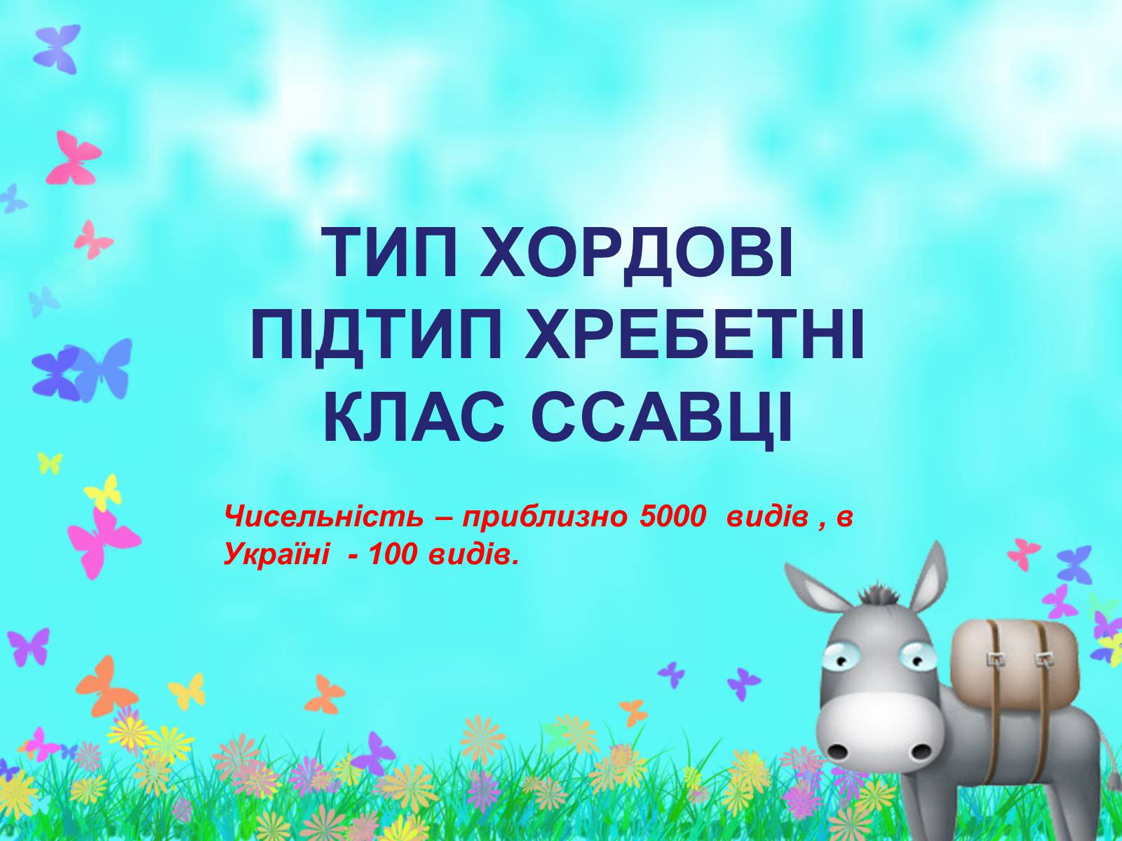 Презентація на тему «Загальна характеристика класу Ссавці. Зовнішня будова, скелет і мускулатура» - Слайд #3