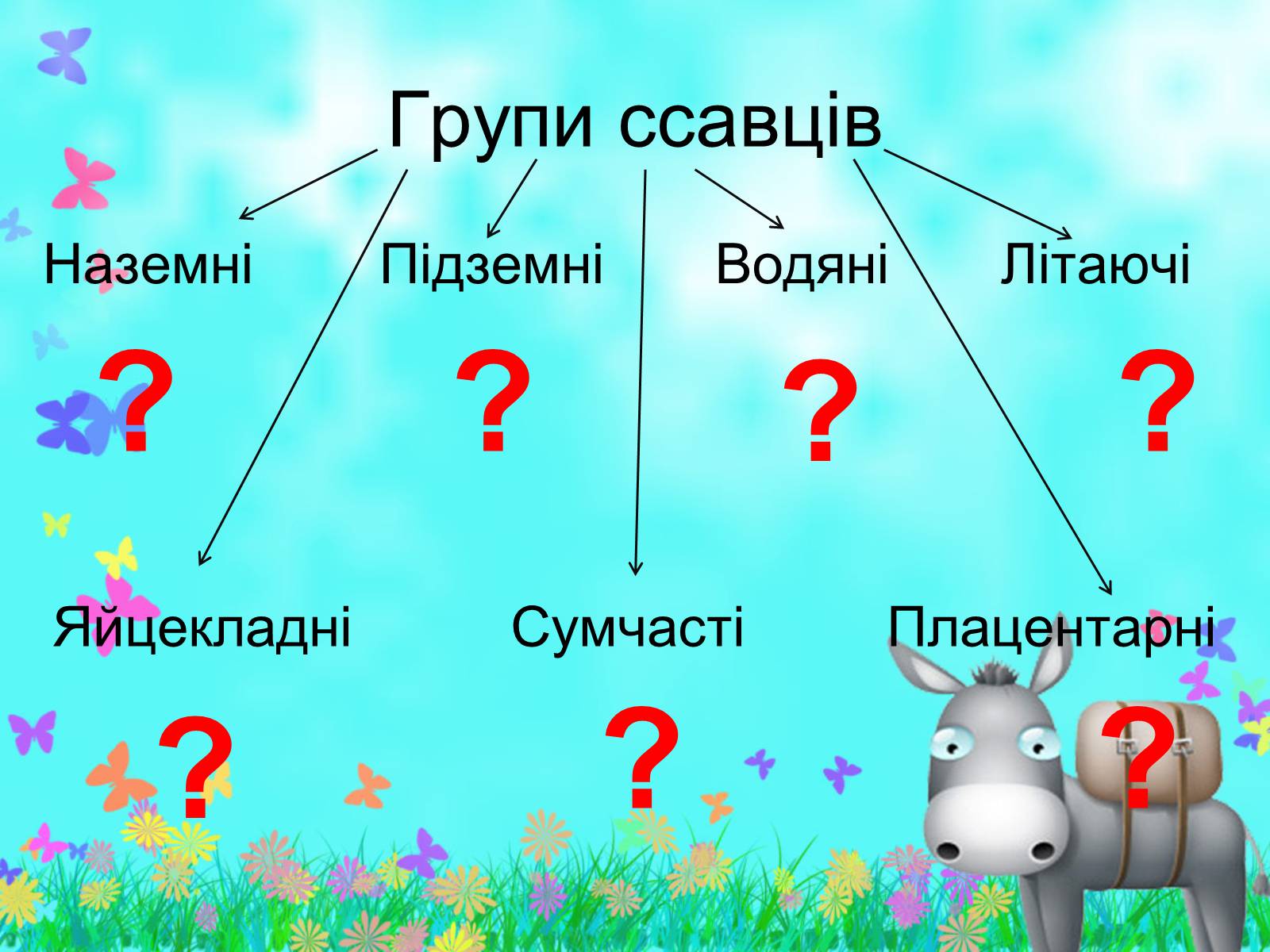 Презентація на тему «Загальна характеристика класу Ссавці. Зовнішня будова, скелет і мускулатура» - Слайд #5