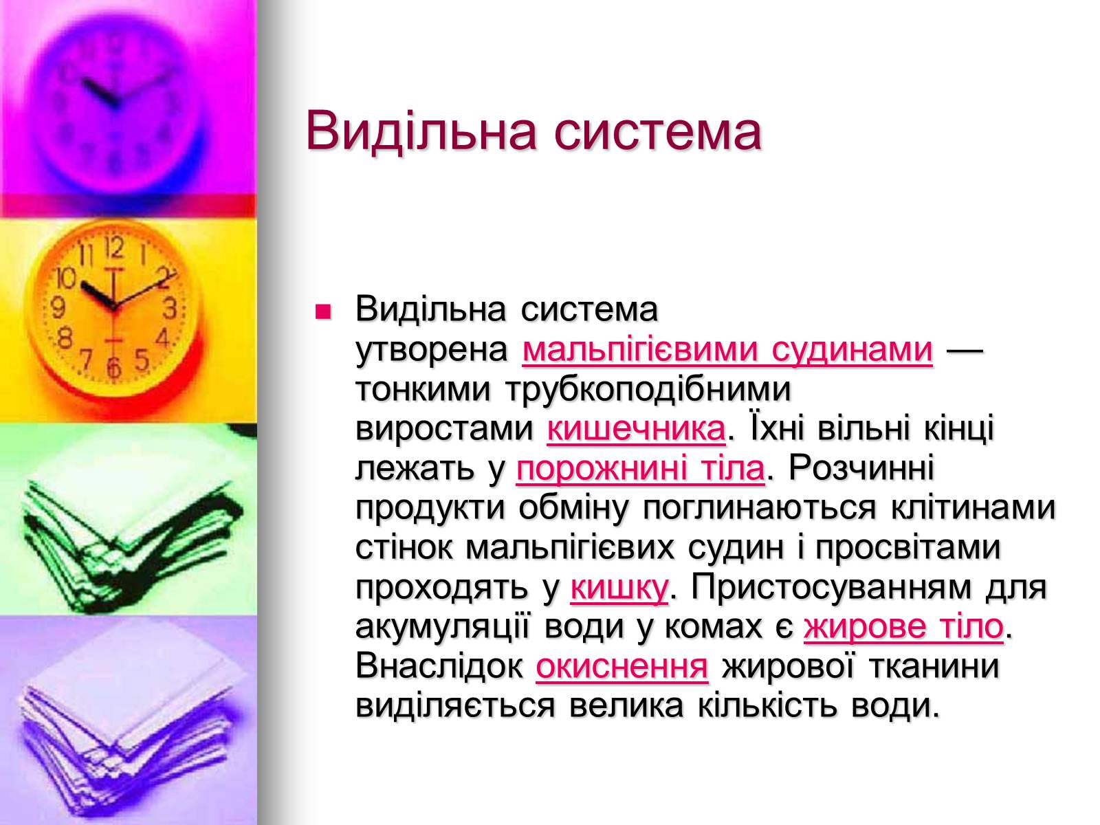 Презентація на тему «Клас Комахи. Загальна характеристика класу» - Слайд #14