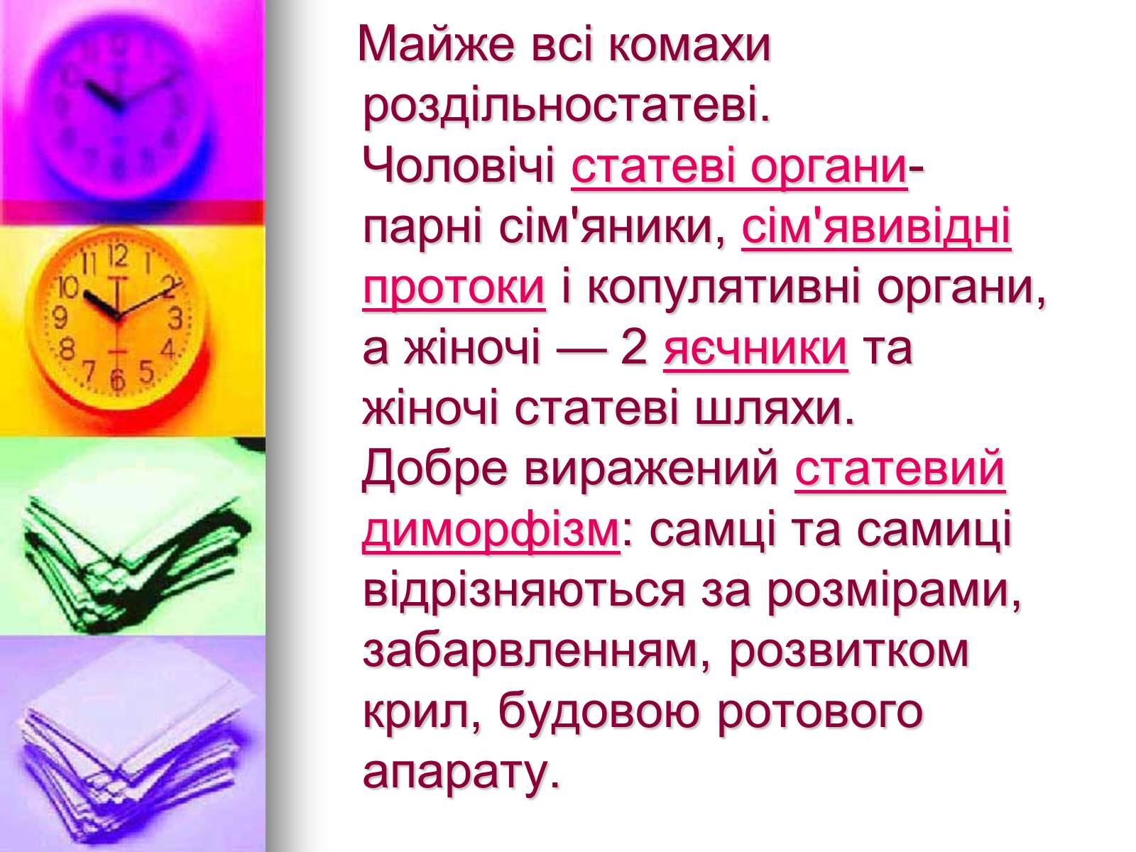 Презентація на тему «Клас Комахи. Загальна характеристика класу» - Слайд #20