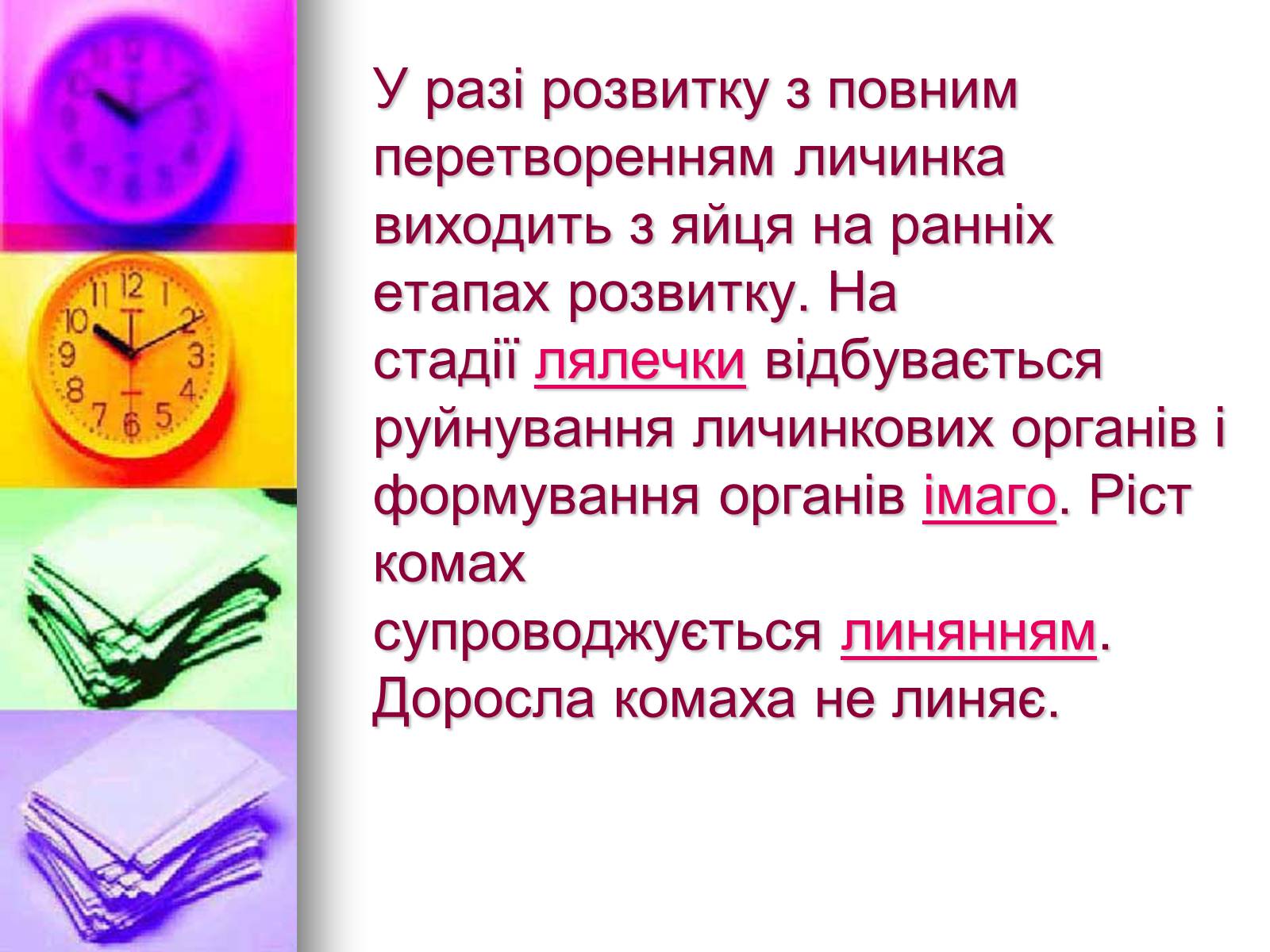 Презентація на тему «Клас Комахи. Загальна характеристика класу» - Слайд #23