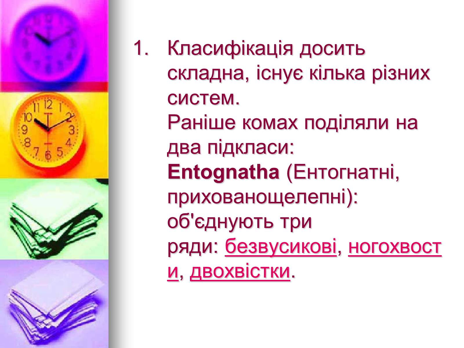 Презентація на тему «Клас Комахи. Загальна характеристика класу» - Слайд #26