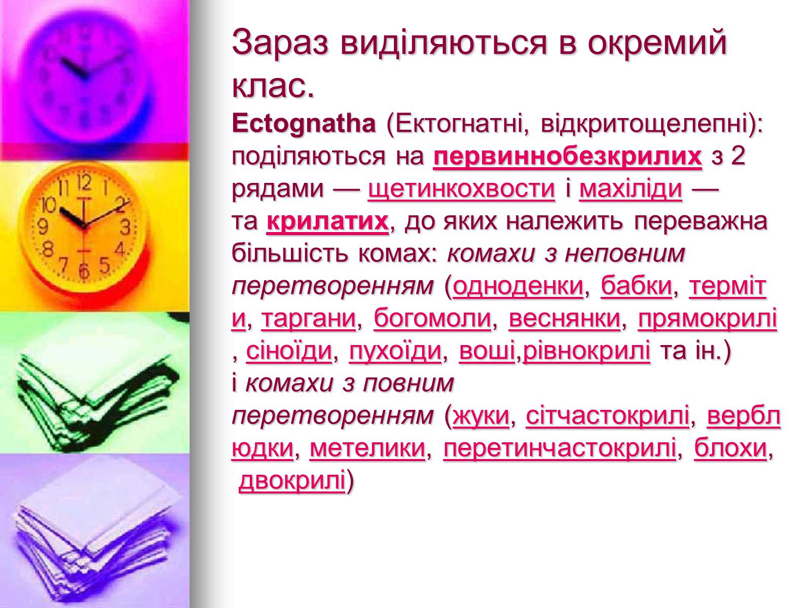 Презентація на тему «Клас Комахи. Загальна характеристика класу» - Слайд #27