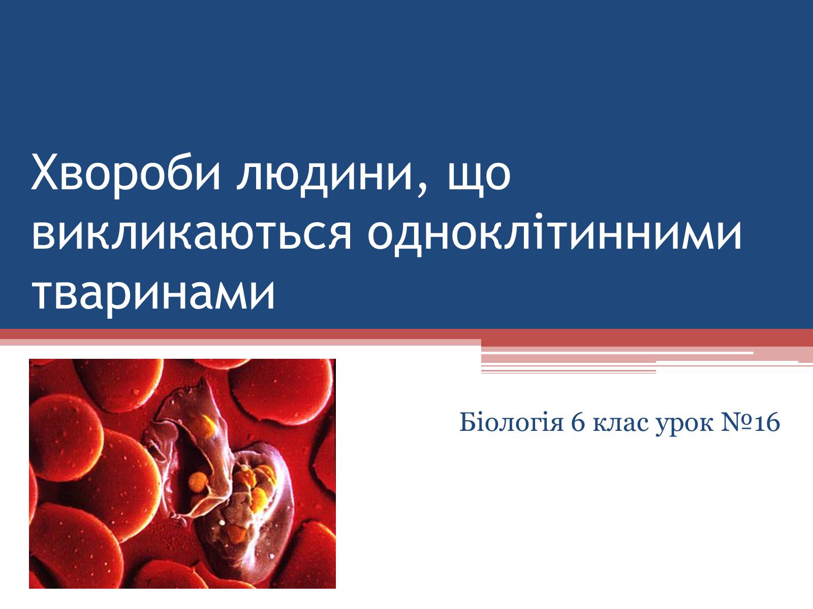 Презентація на тему «Хвороби людини, що викликаються одноклітинними тваринами» - Слайд #1