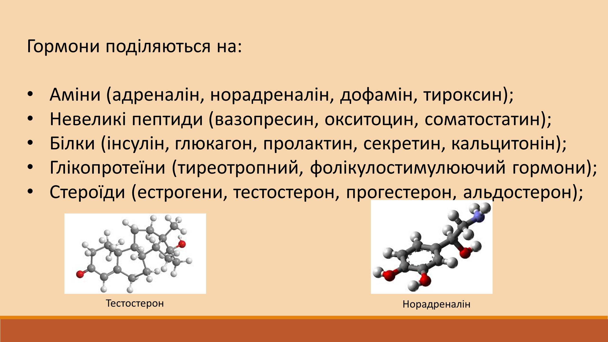 Презентація на тему «Ендокринна регуляція функцій організму» - Слайд #7