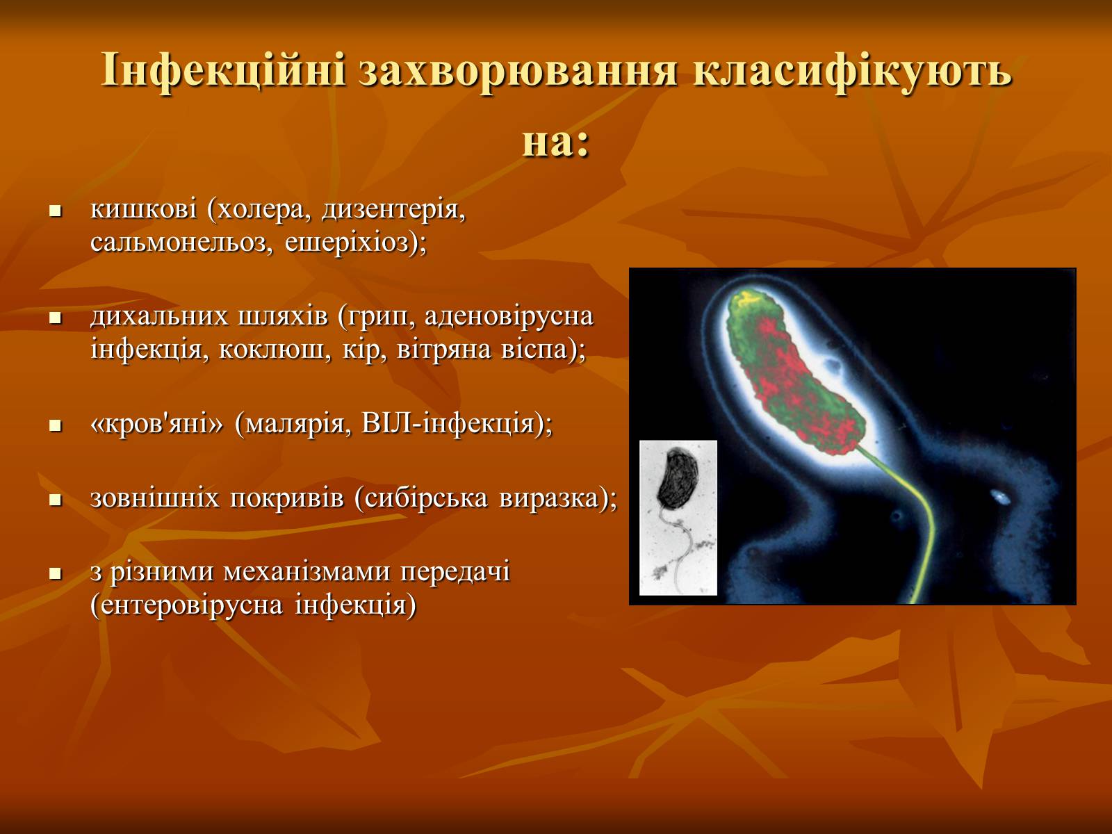 Презентація на тему «Інфекційні захворювання» (варіант 1) - Слайд #6