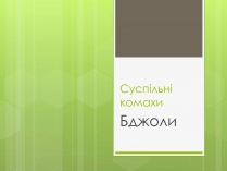 Презентація на тему «Бджоли»