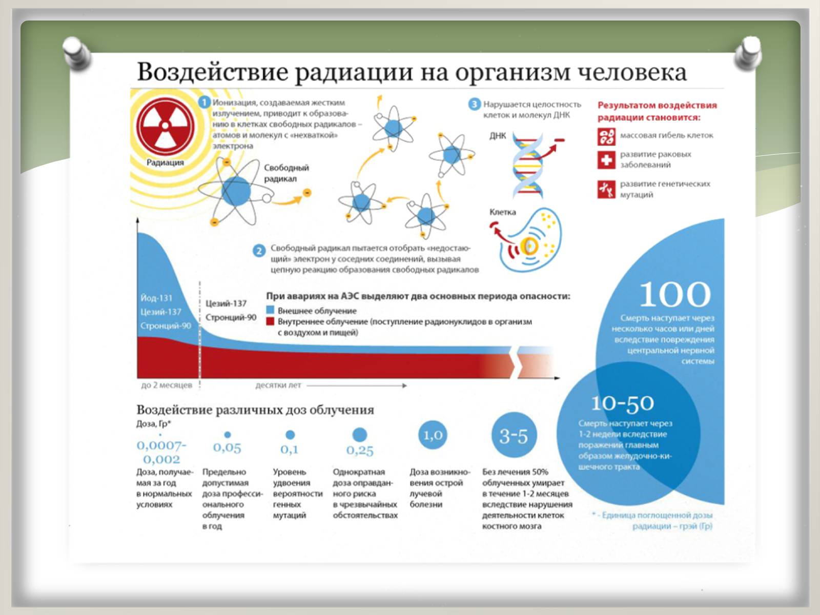 Презентація на тему «Вплив радіоактивного випромінювання на живі організми» (варіант 2) - Слайд #17