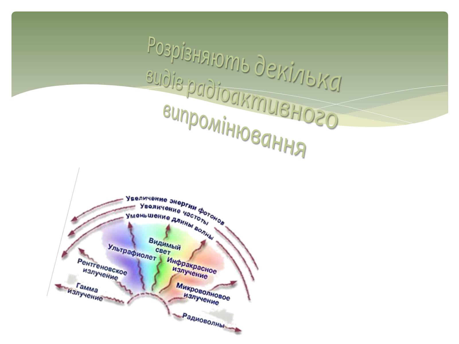 Презентація на тему «Вплив радіоактивного випромінювання на живі організми» (варіант 2) - Слайд #6