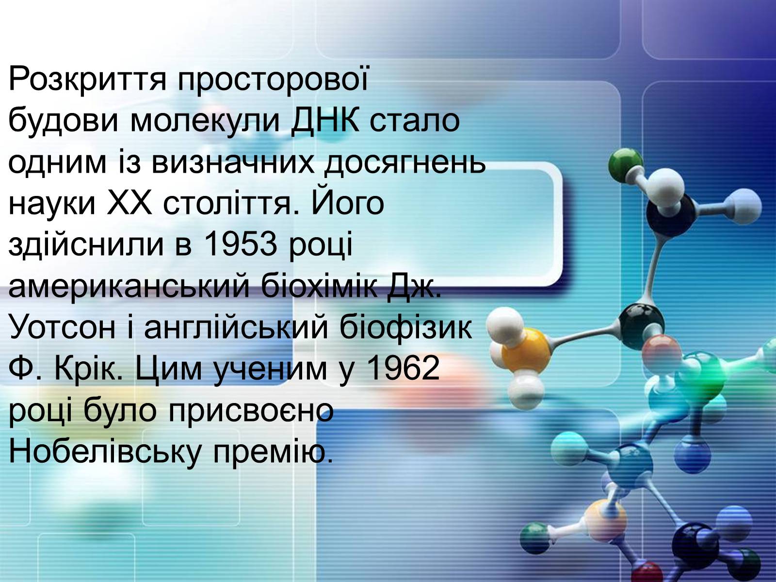 Презентація на тему «Нуклеїнові кислоти» (варіант 4) - Слайд #3