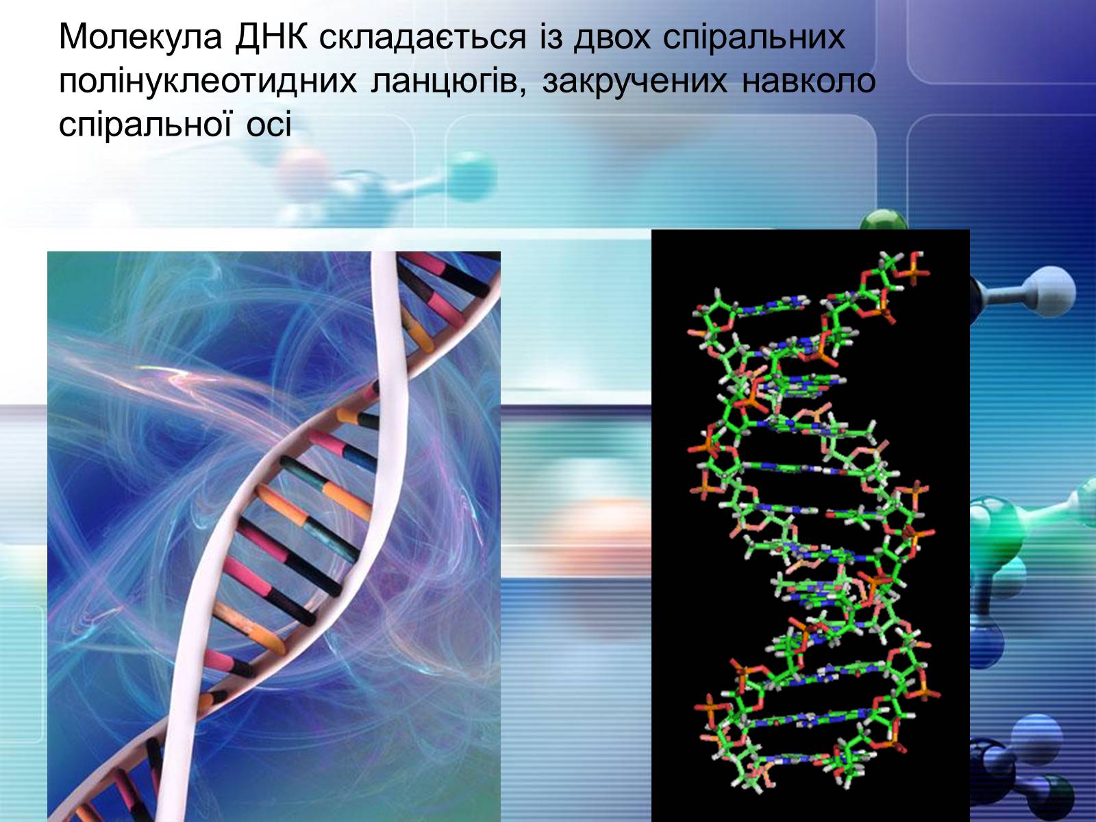 Презентація на тему «Нуклеїнові кислоти» (варіант 4) - Слайд #9