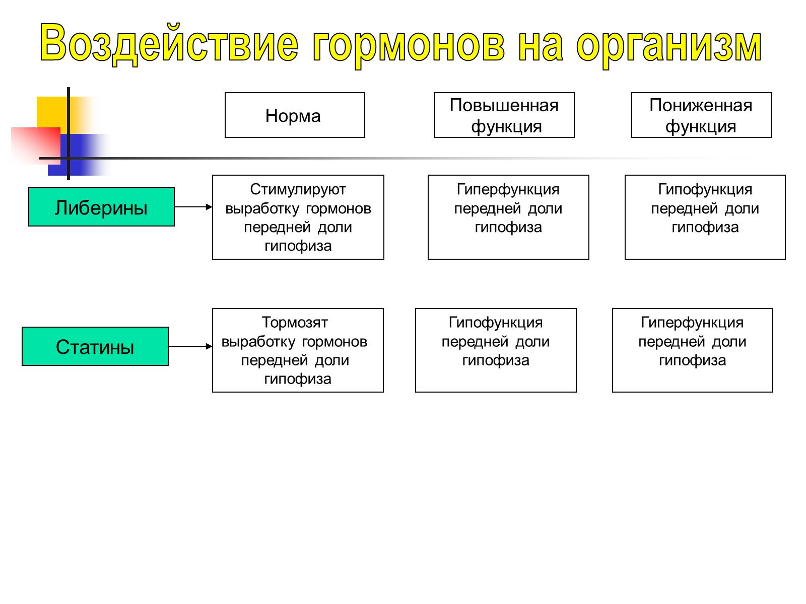 Презентація на тему «Регуляция процессов жизнедеятельности организма» - Слайд #24