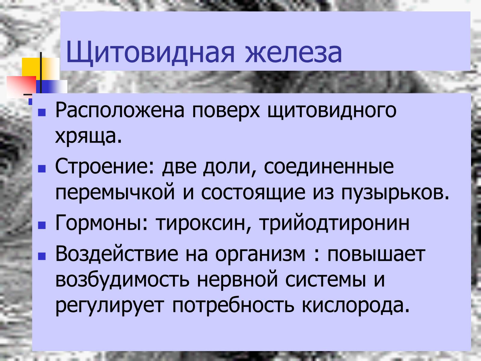 Презентація на тему «Регуляция процессов жизнедеятельности организма» - Слайд #26