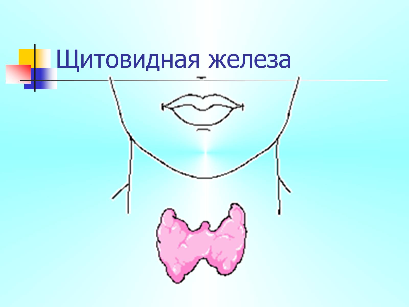 Презентація на тему «Регуляция процессов жизнедеятельности организма» - Слайд #27