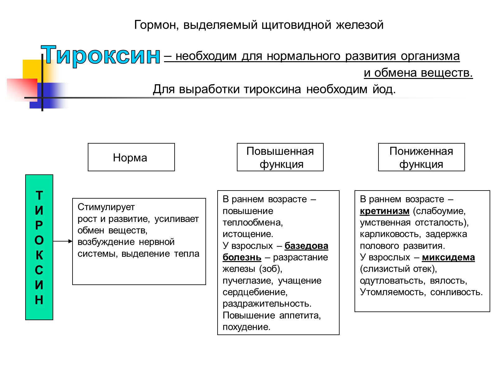 Презентація на тему «Регуляция процессов жизнедеятельности организма» - Слайд #28