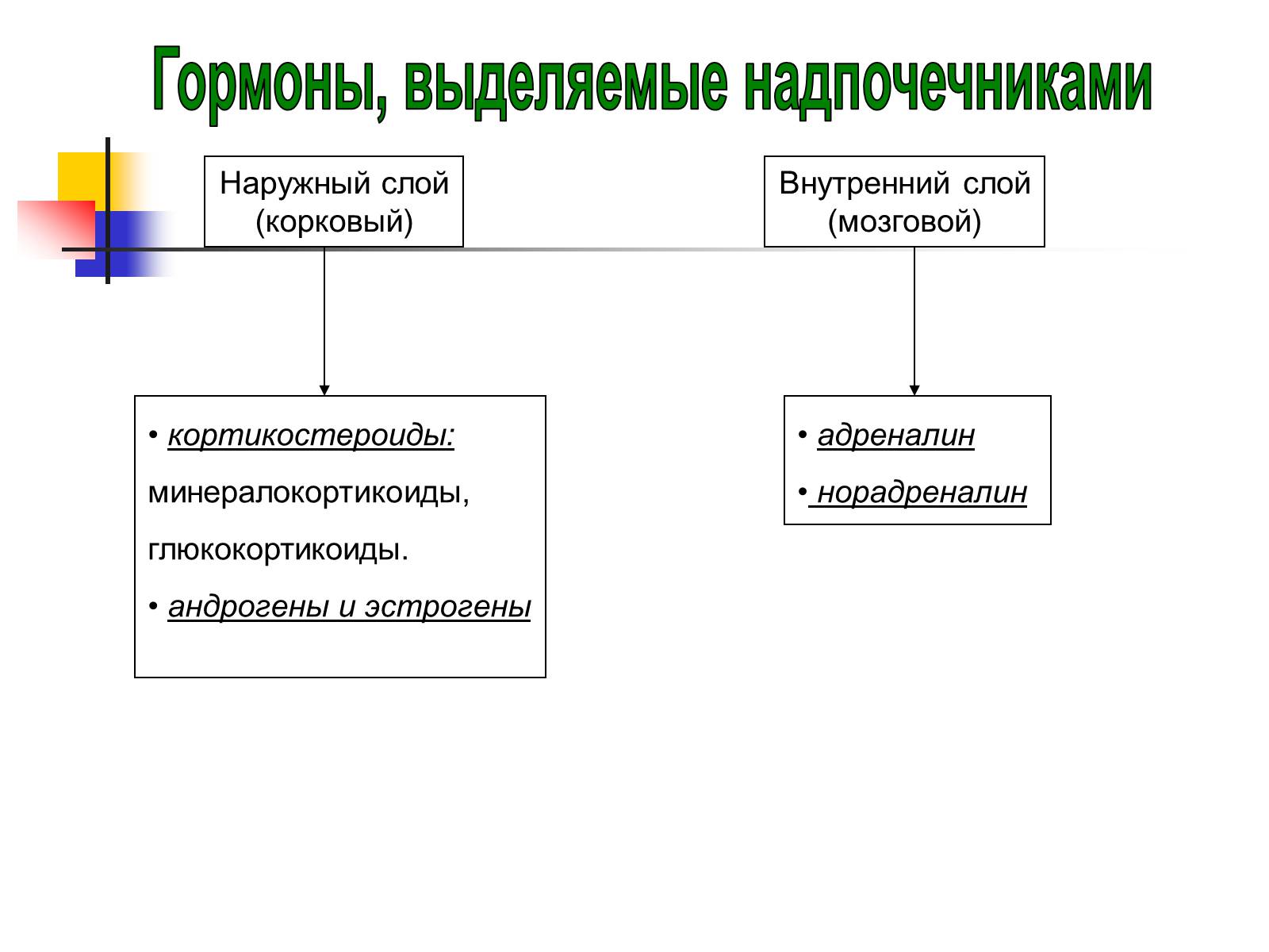 Презентація на тему «Регуляция процессов жизнедеятельности организма» - Слайд #38