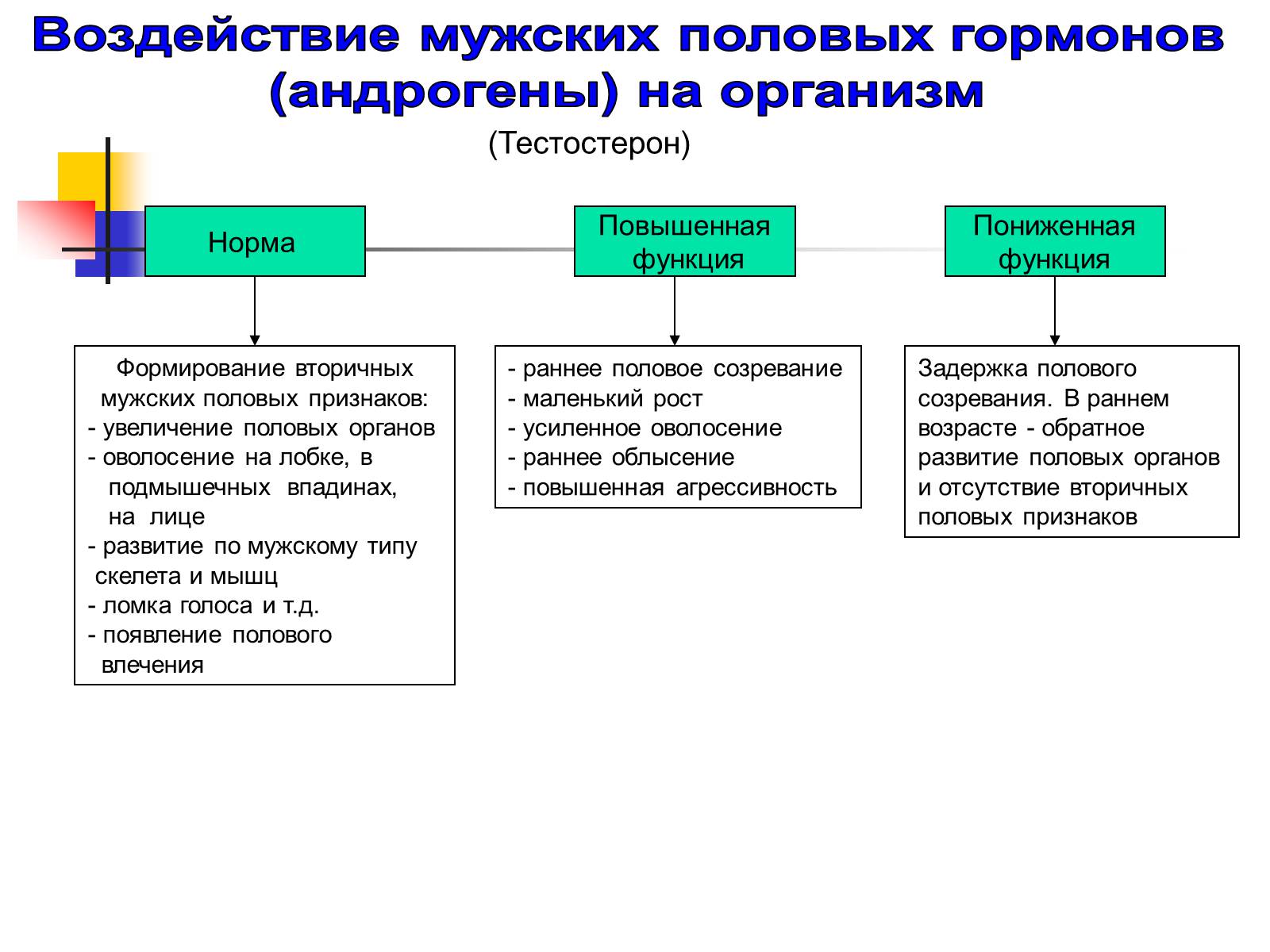 Презентація на тему «Регуляция процессов жизнедеятельности организма» - Слайд #45